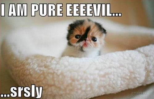 evil-kitty2