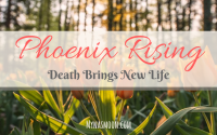 Phoenix Rising – Death Brings New Life